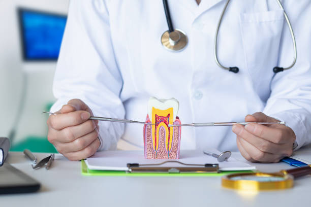 Best Emergency Broken Tooth Repair in Thruston, KY